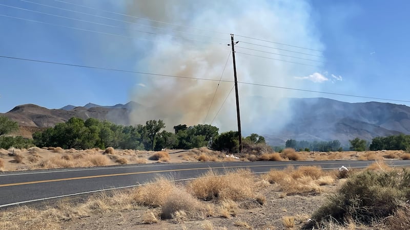 Oling Fire burning off I-80 in Wadsworth.