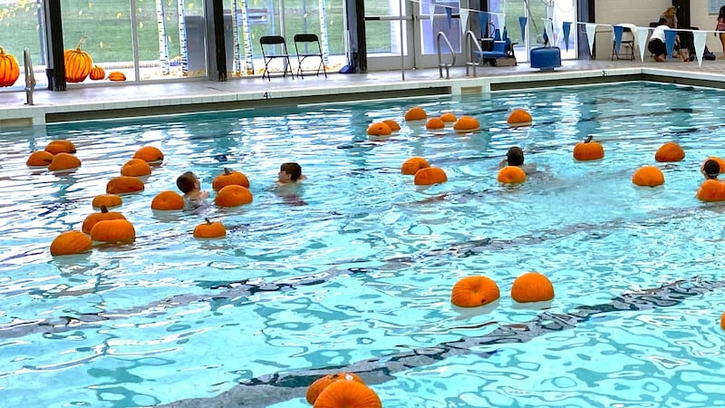 Pumpkin Plunge