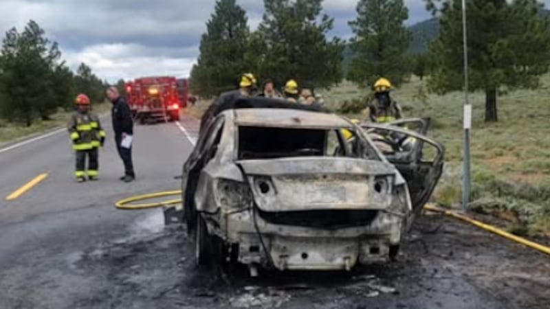 Un vehículo quedó completamente envuelto en llamas en la autopista 44, en el condado de Lassen.