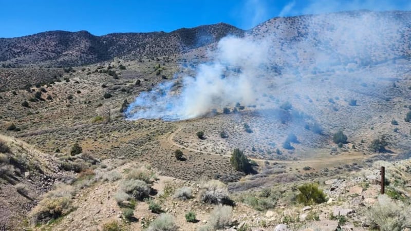 El incendio está ardiendo cerca de Pine Nut Road.