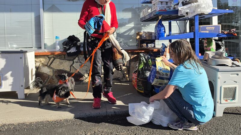 La organización sin fines de lucro, Feeding Pets of The Homeless organizó una clínica gratuita...