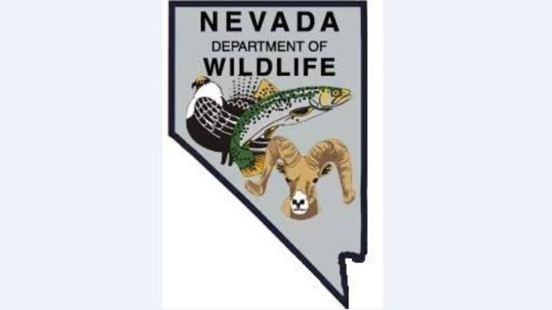 NDOW Logo