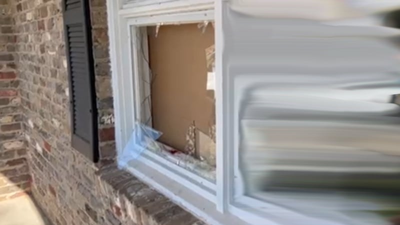 Así quedó la ventana luego de que el venado irrumpiera en la casa