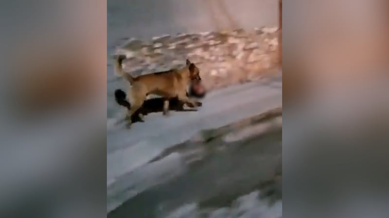 Un funcionario policial dijo que la cabeza y otros restos fueron dejados en un cajero...