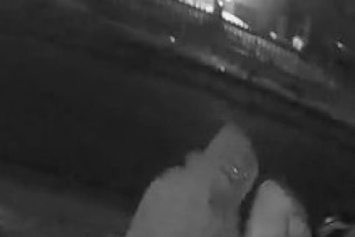 preloaded gallery image