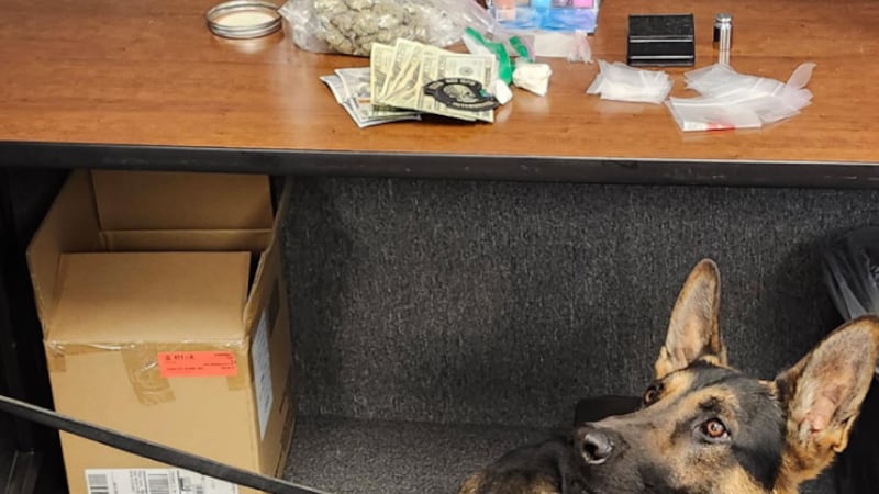 Espinoza and Lee are now facing drug charges