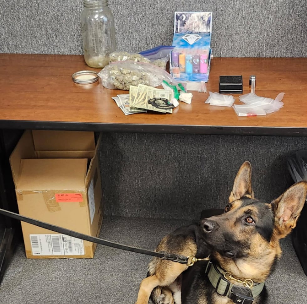 Espinoza and Lee are now facing drug charges