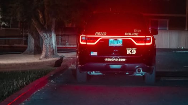 Riley was arrested during a traffic stop