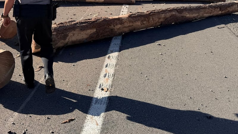 La condición del conductor no fue liberada.