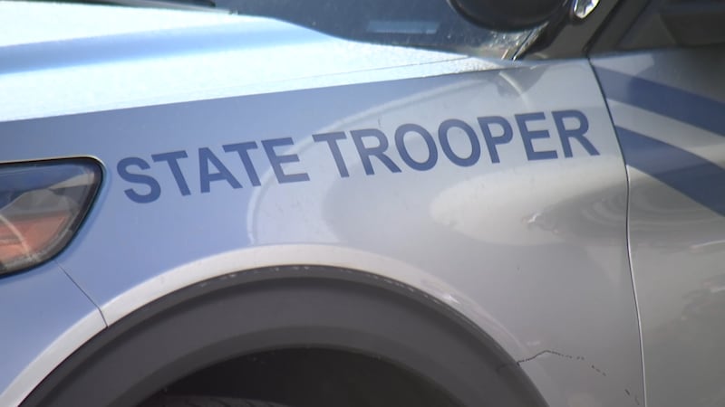 Nevada State Police (NSP) photo of patrol car.