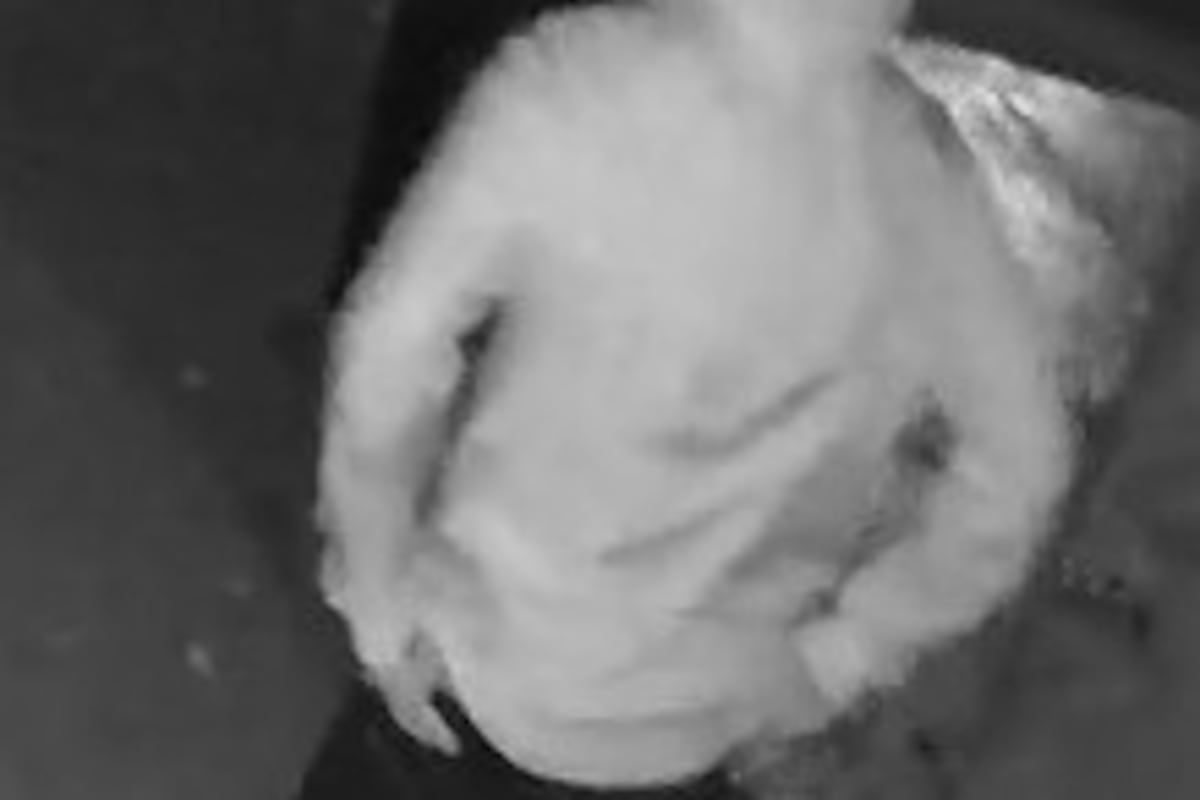 preloaded gallery image