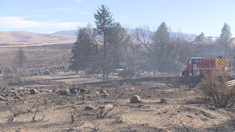 The scene on Dales Lane on Tuesday, November 12th