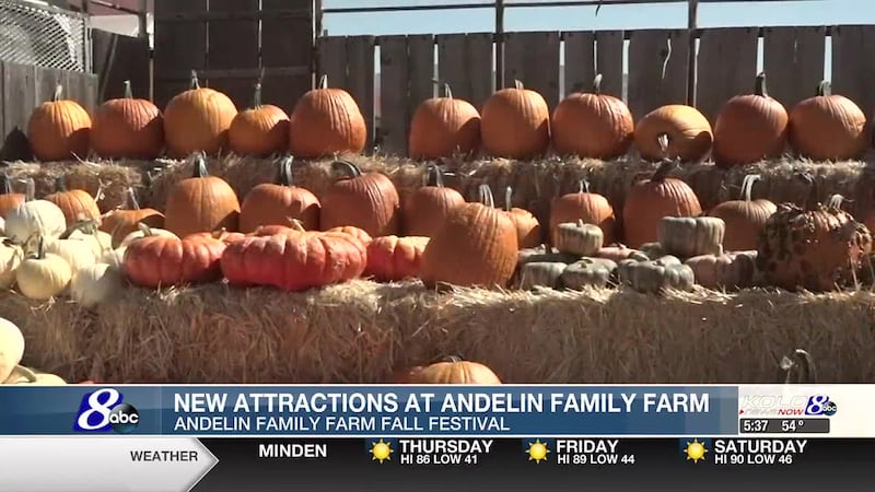 Andelin Family Farm fall festival