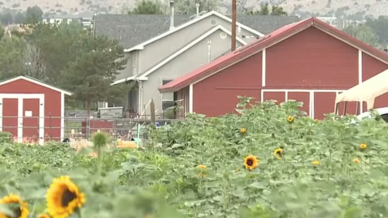 La granja se encuentra actualmente en el condado de Washoe (no incorporado), y sus...