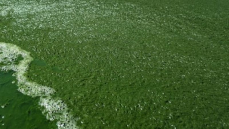 El lago fue puesto bajo aviso el martes.