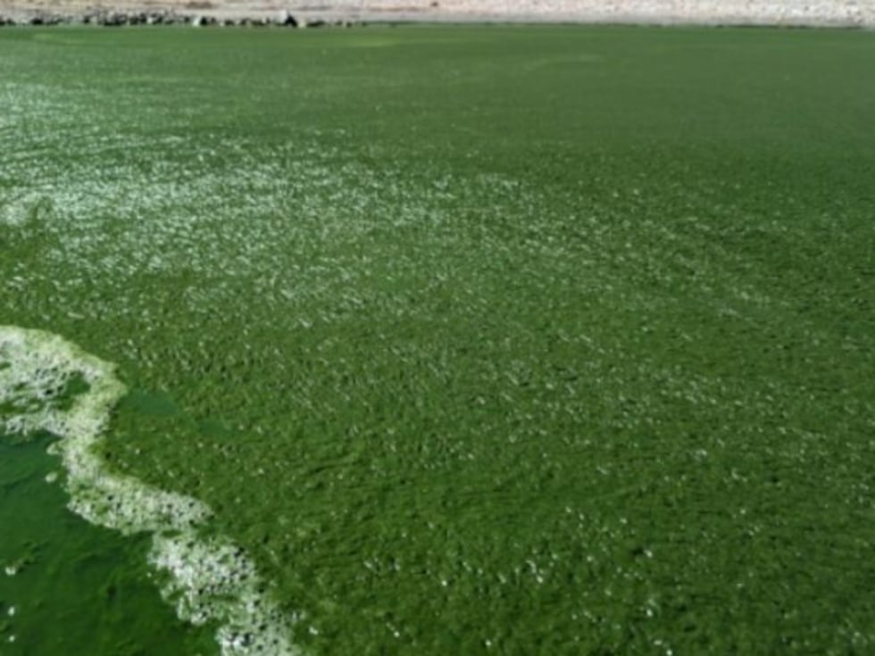 El lago fue puesto bajo aviso el martes.
