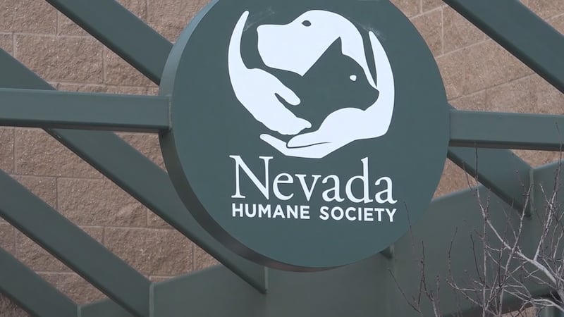 Nevada Humane Society in Reno.
