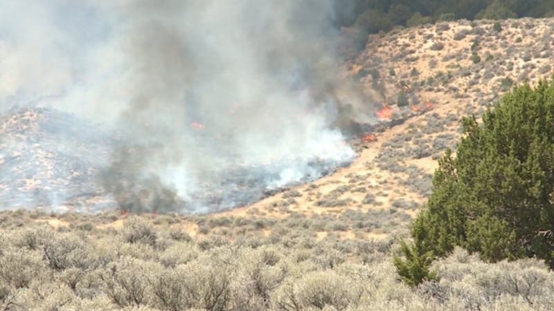 Rancho Fire off of ***** Road