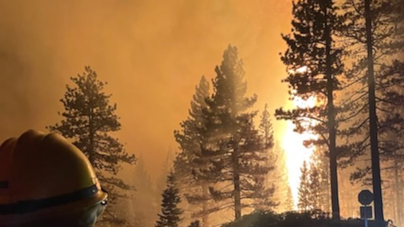 Fire crews work the Davis Fire