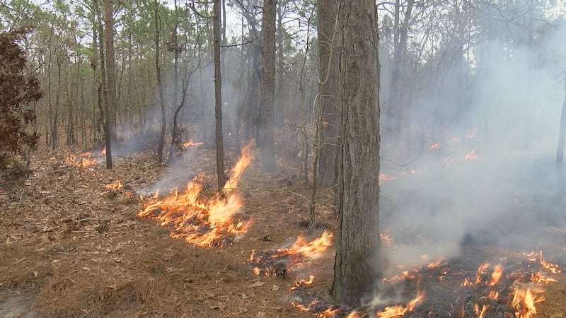 (Source: WECT)