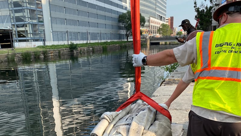 En esta foto, proporcionada por el republicano Nino Mangione, una estatua de Cristóbal Colón...