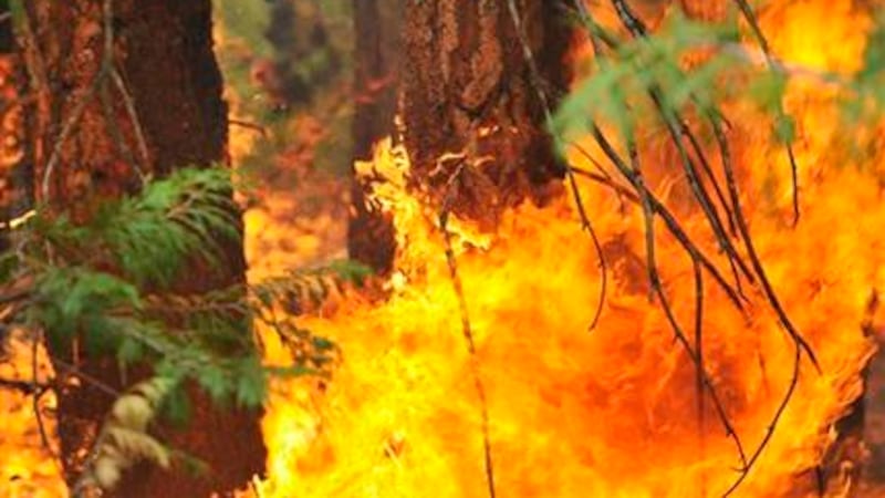 In this Aug. 21, 2015 photo, a firefighting crew member, background, stands beyond a firing...
