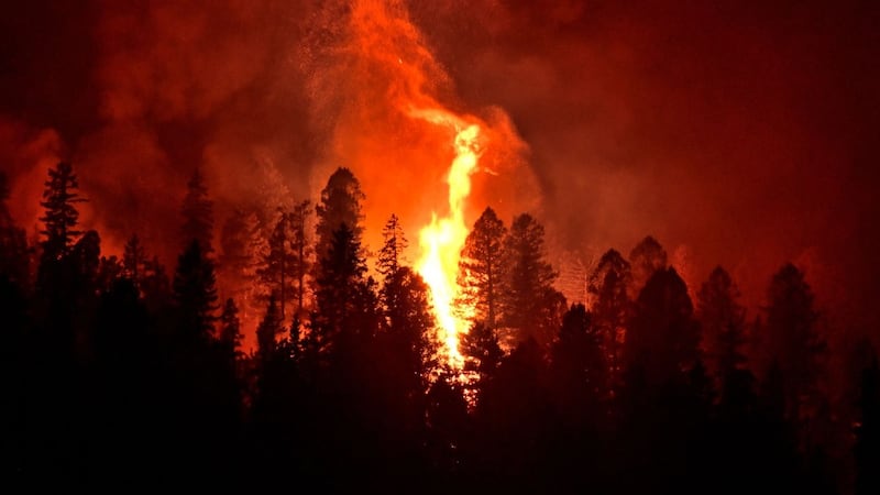 generic wildfire
